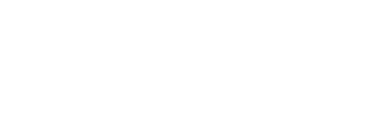 lithoss_logo
